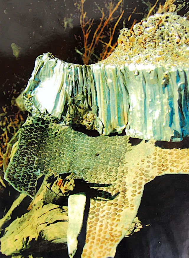 Plains of San Agustin debris photo 14